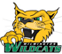 Wilmington University logo