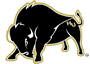 Harding University logo